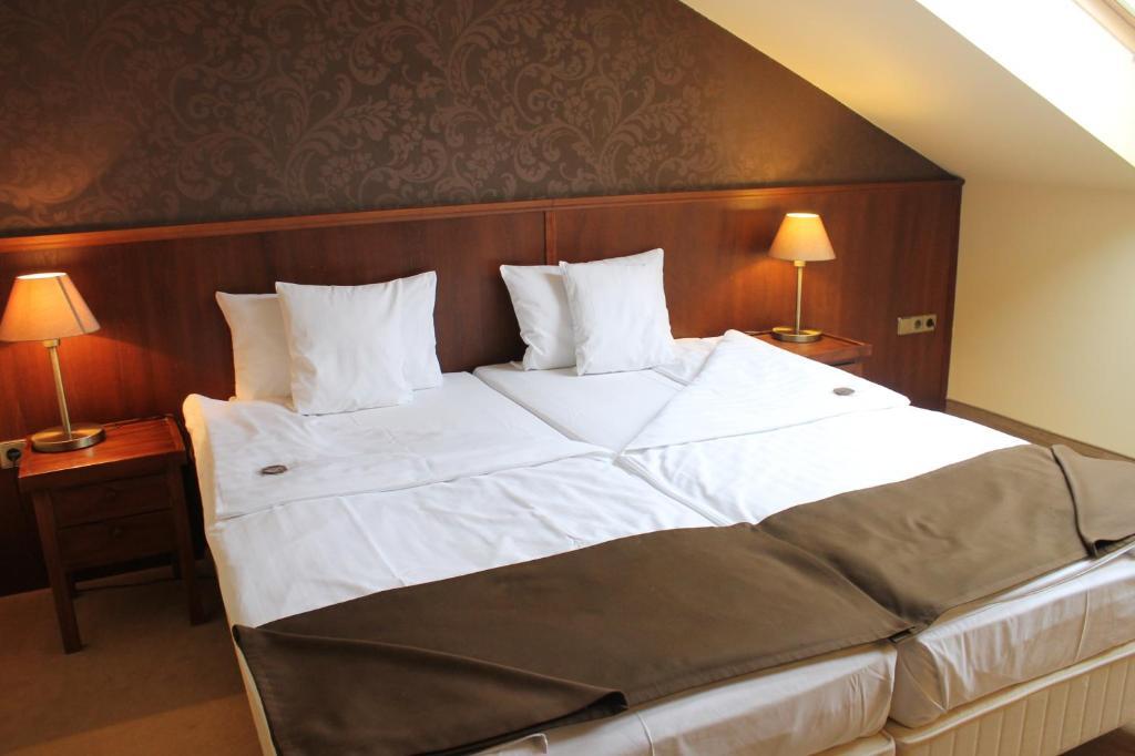 Szepia Bio And Art Hotel Zsámbék Pokoj fotografie